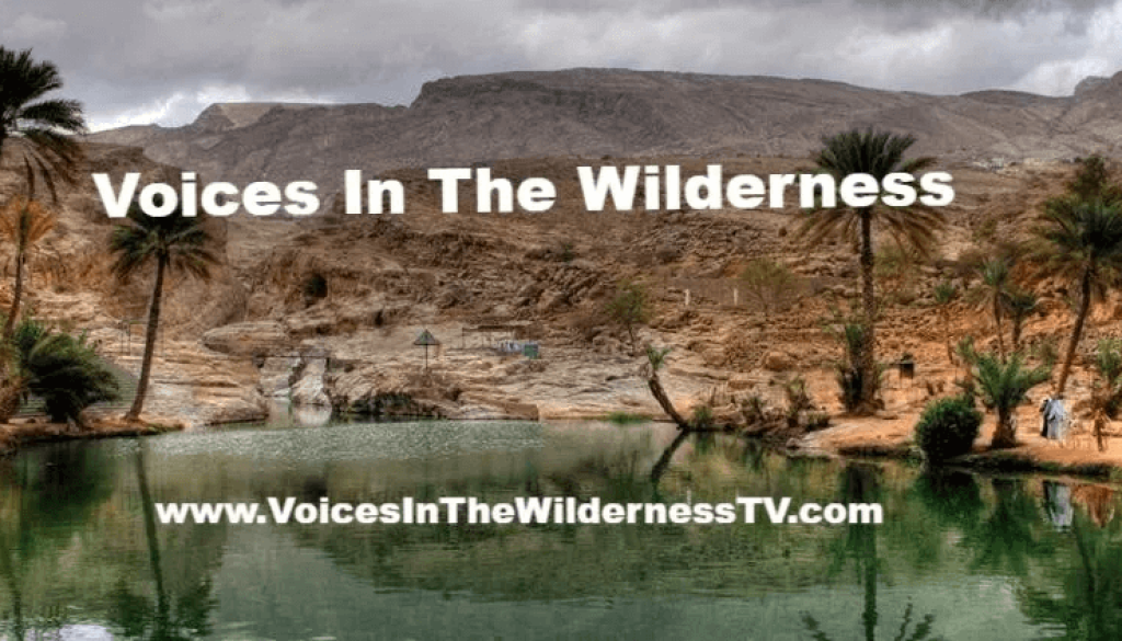 VoicesInTheWilderness