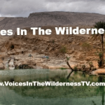 Voices in the Wilderness